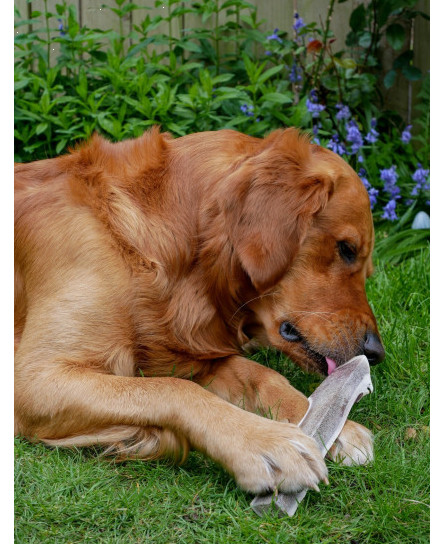 split-wild-antler-dog-chews-soft-chew-puppy-friendly-100-red-deer-split-chew
