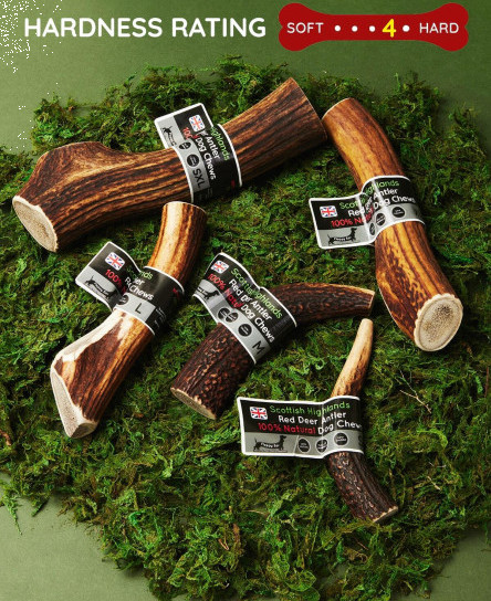 deer-antler-dog-chew-long-lasting-full-of-minerals-calcium-naturally-shed
