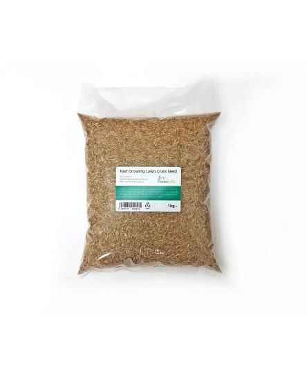 rapid-quick-growing-lawn-grass-seed-for-new-lawns-or-patch-repair