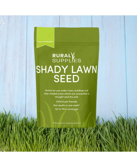 grass-seed-for-shaded-areas-drought-tolerant-quality-lawn-seed